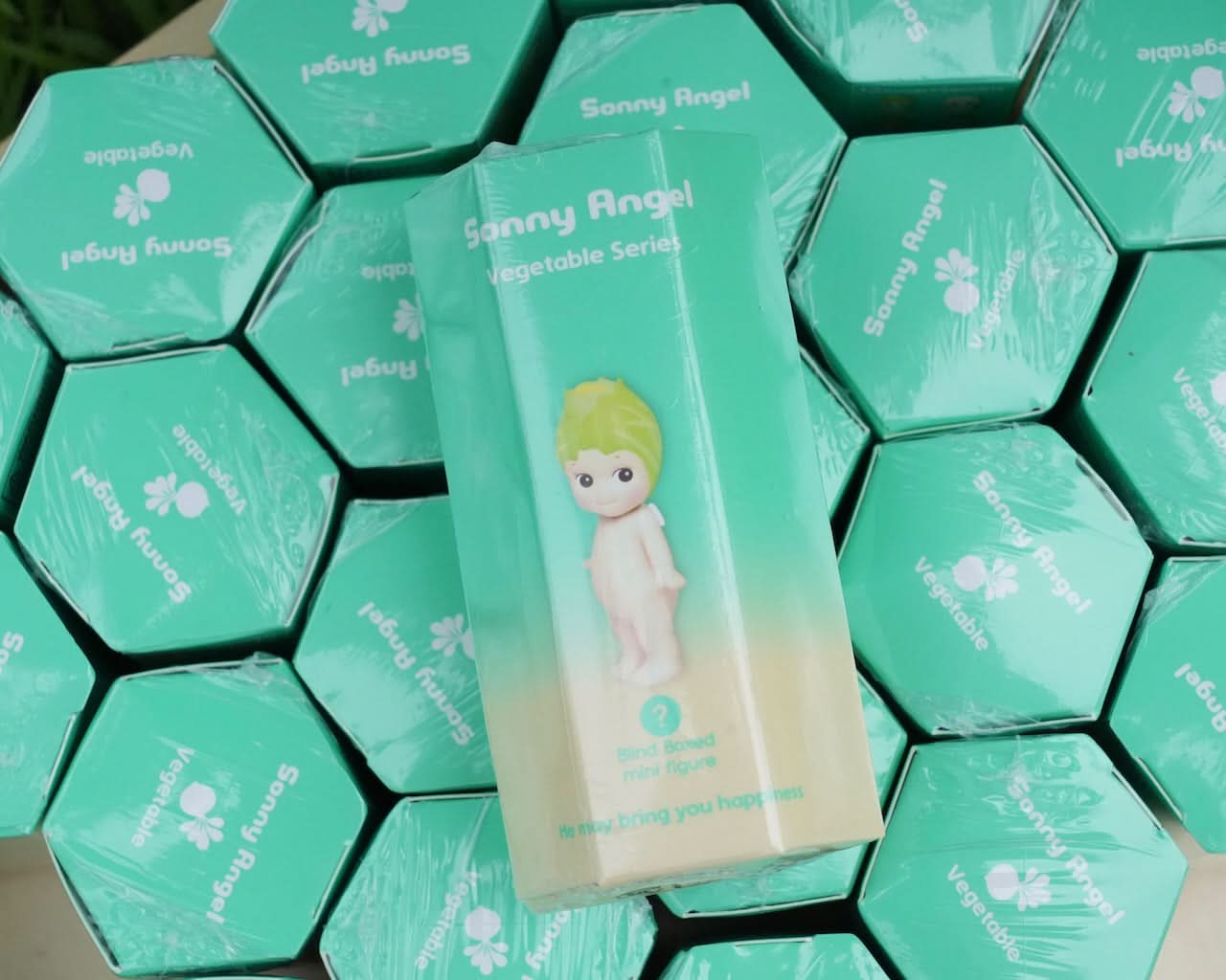SONNY ANGEL - Vegetable Series Blindbox - toptoylands
